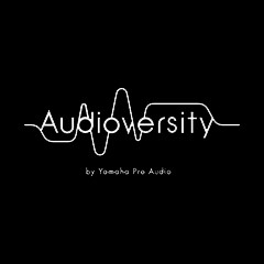 Betway必威App体育
专业音响教育培训开展全新“Audioversity ”计划